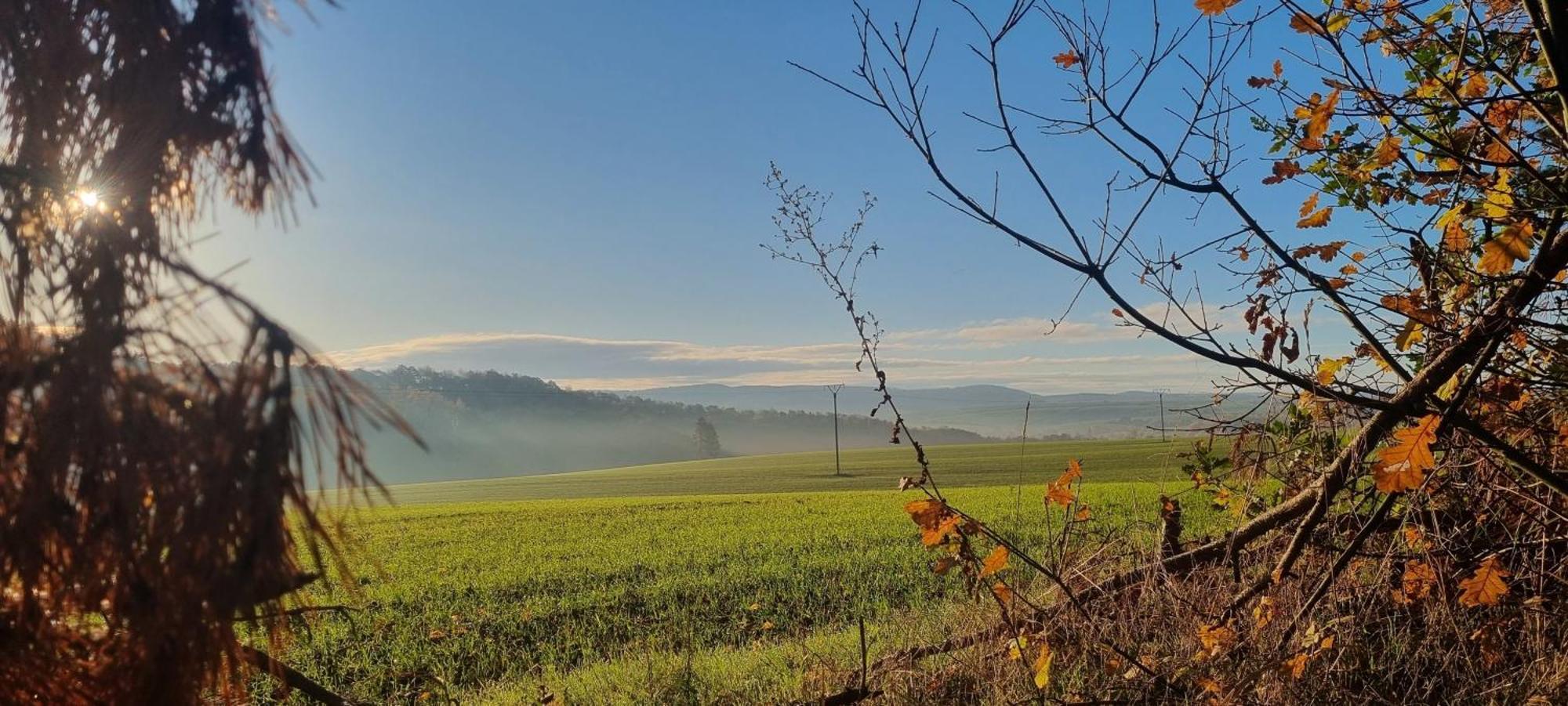 Ferienapartment Haus Am Gruen 2 "Sunshine" - Ruhe & Entspannung Mitten In Der Natur 哈茨边的赫茨伯格 外观 照片